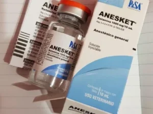 Order Anesket 1000mg/10ml
